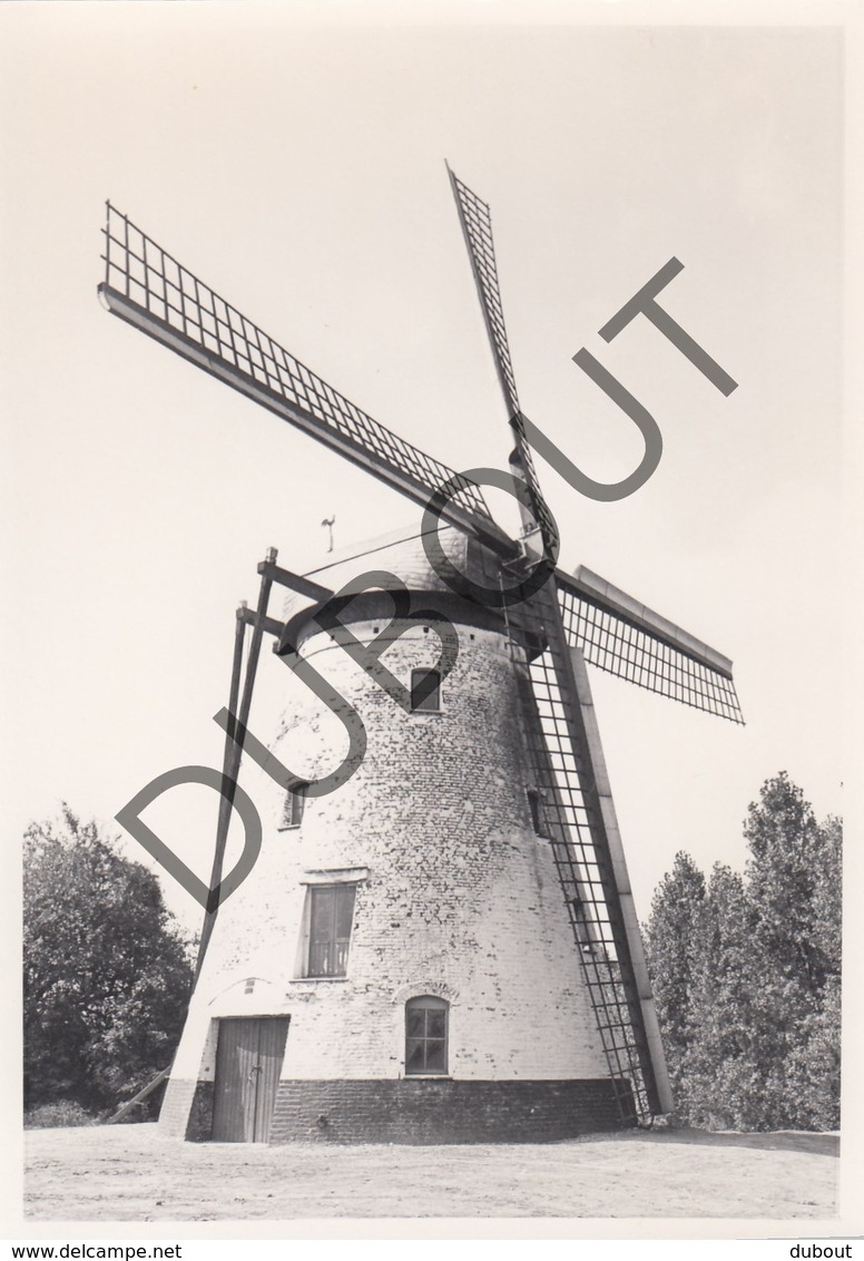 TIEGEM / ANZEGEM  Molen / Moulin - Originele Foto Jaren '70 A.Carre (Q83) - Anzegem