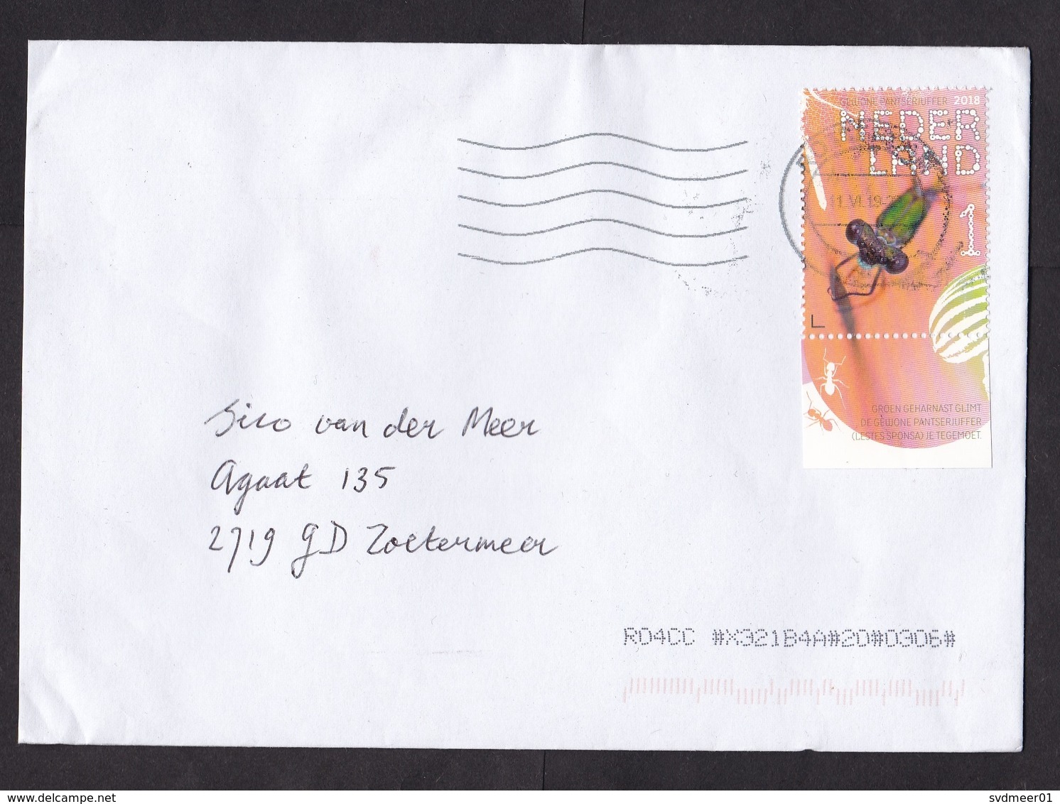 Netherlands: Cover, 2019, 1 Stamp + Tab, Armoured Dragonfly, Insect (minor Stain Of Cancel) - Storia Postale