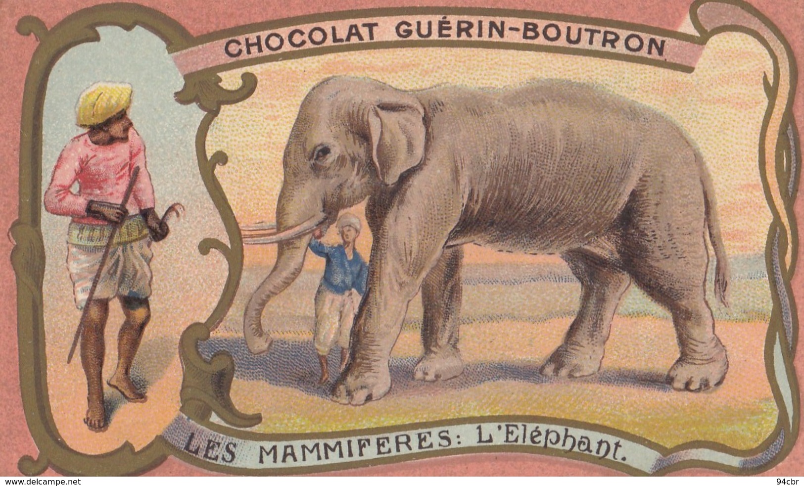 CHROMO IMAGE) CHOCOLAT GUERIN BOUTRON  LES MAMMIFERES  L éléphant( 6.8x10.8) - Guérin-Boutron