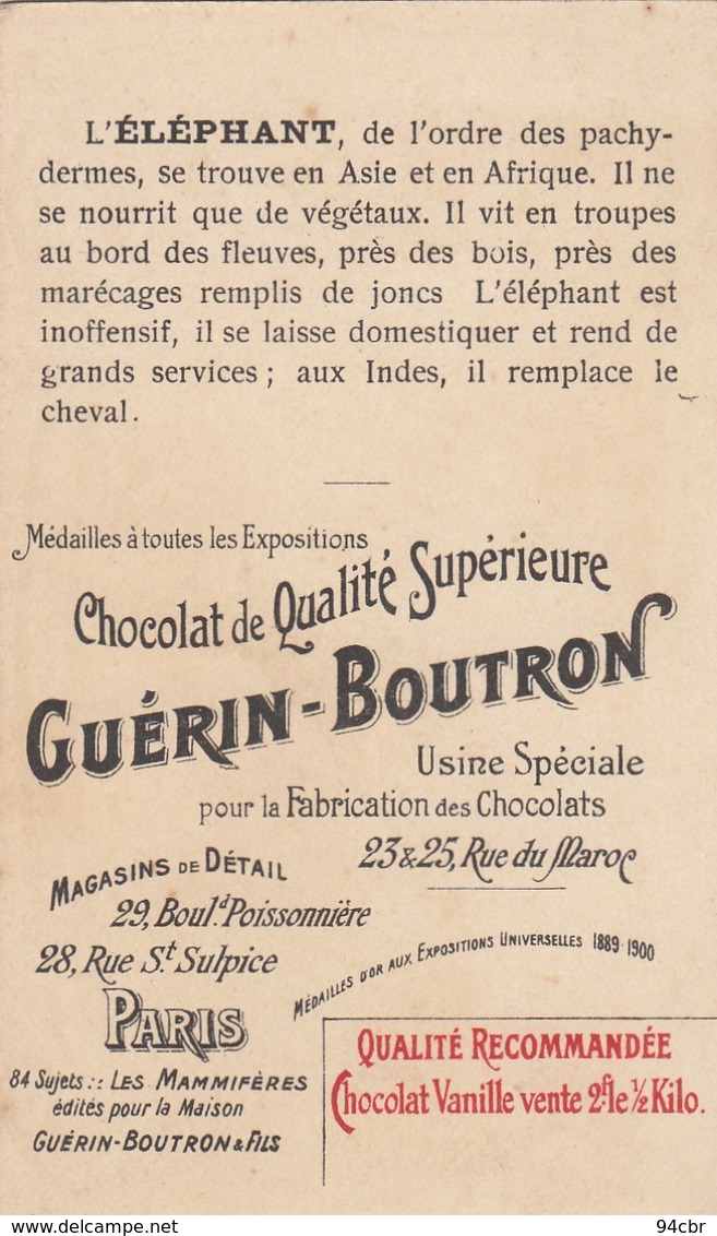 CHROMO IMAGE) CHOCOLAT GUERIN BOUTRON  LES MAMMIFERES  L éléphant( 6.8x10.8) - Guérin-Boutron