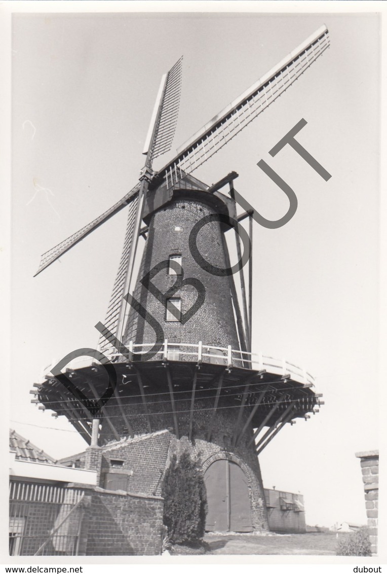 HULSTE / HARELBEKE  Molen / Moulin - Originele Foto Jaren '70 A.Carre - Muizelmolen (Q124) - Harelbeke