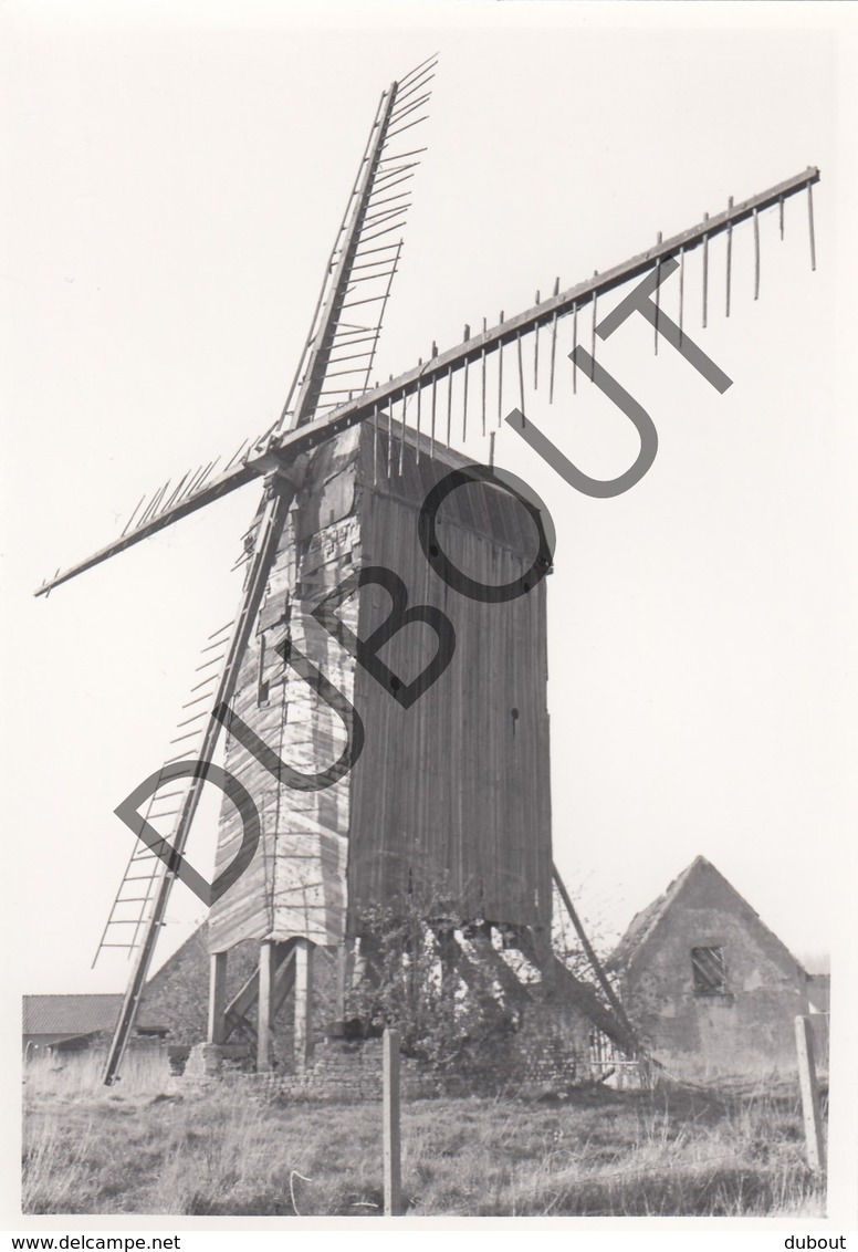 HARELBEKE  Molen / Moulin - Originele Foto Jaren '70 A.Carre - Koutermolen (Q114) - Harelbeke