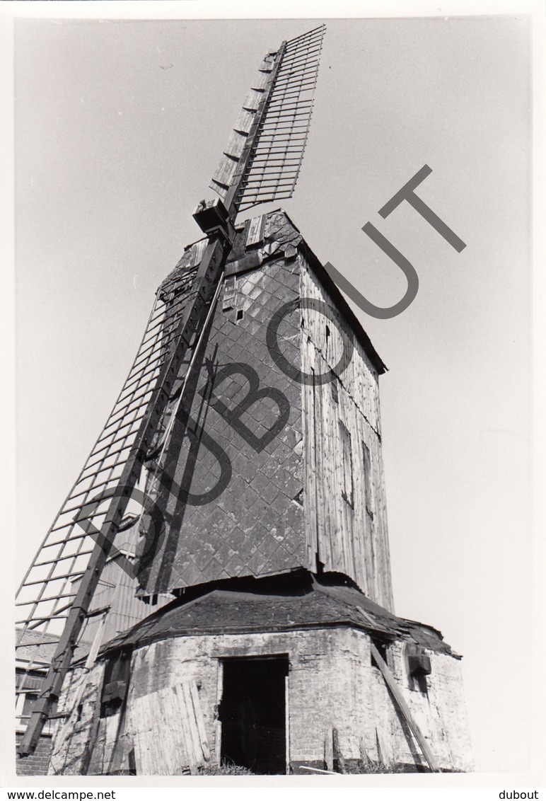 GITS / HOOGLEDE Molen / Moulin - Originele Foto Jaren '70 A.Carre - Grijspeerdmolen  (Q110) - Hooglede