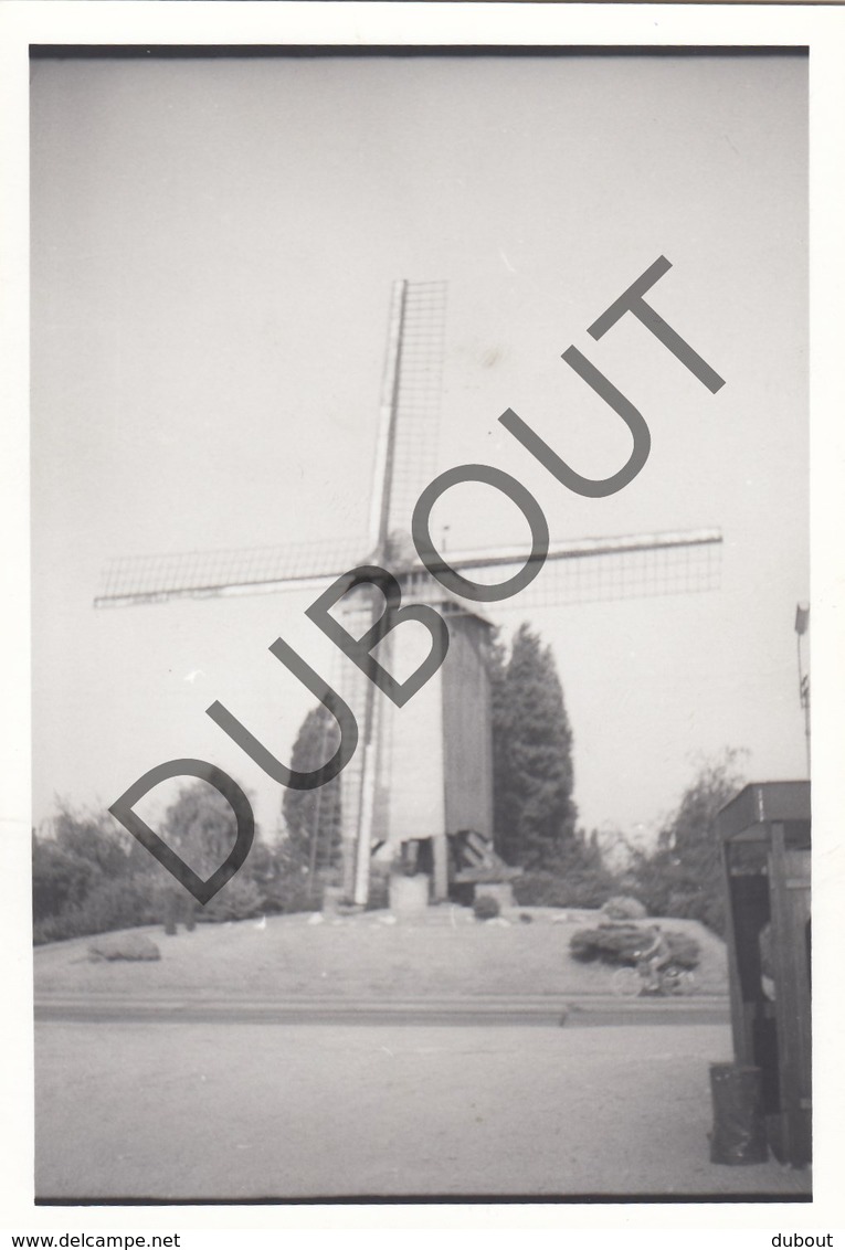 KUURNE Molen / Moulin -  Foto Jaren '70 A.Carre -   (Q35) - Kuurne