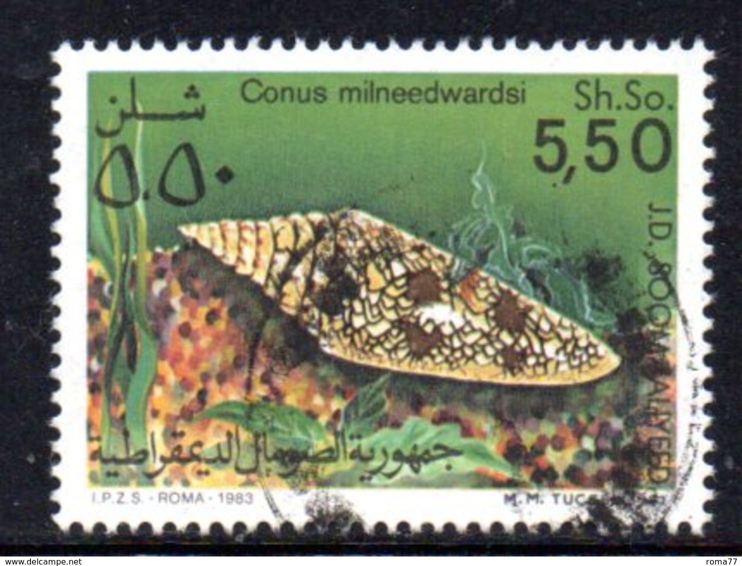 APR853 - SOMALIA 1984 , Yvert N. 307  Usato . CONCHIGLIE  CONUS - Somalia (1960-...)