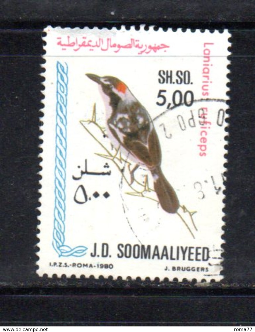 APR850 - SOMALIA 1980 , Yvert N. 257  Usato . - Somalia (1960-...)