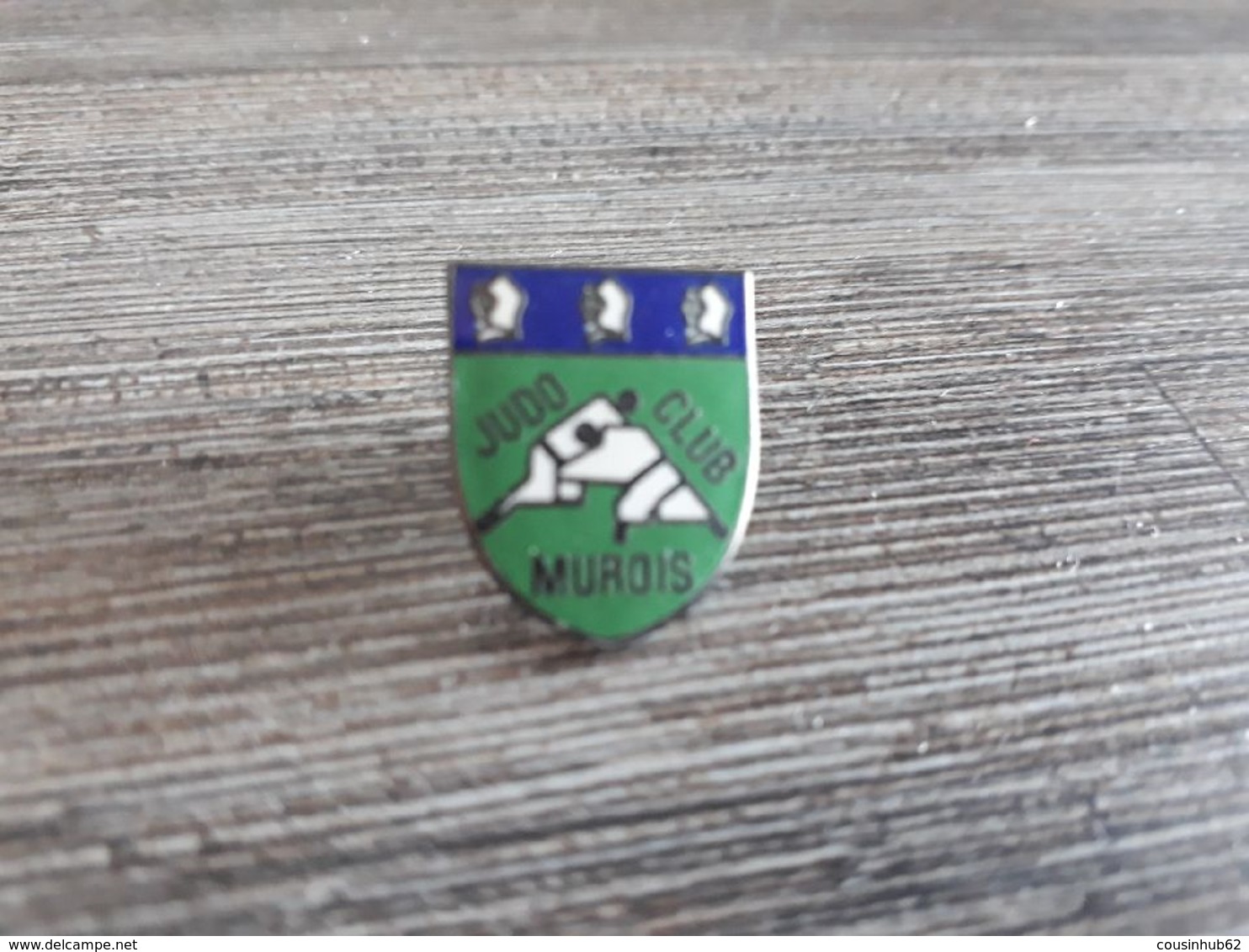 Pins Judo Club Murois - Judo