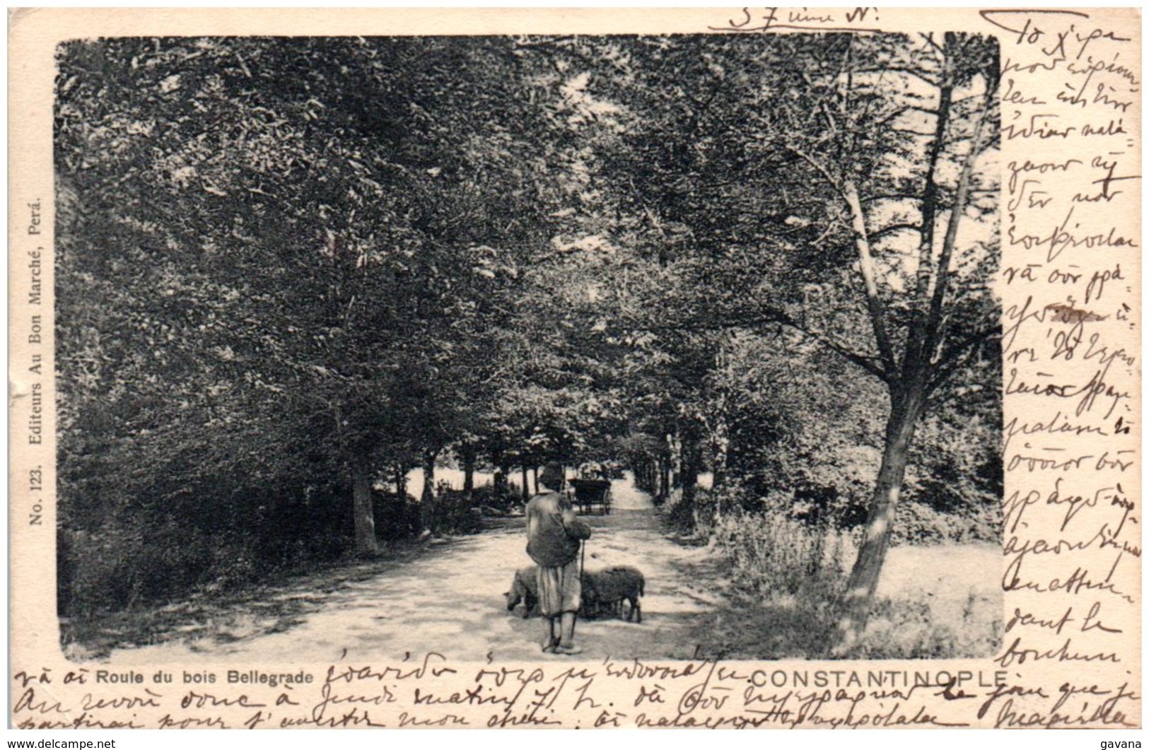 CONSTANTINOPLE - Route Du Bois Bellegarde - Turquie