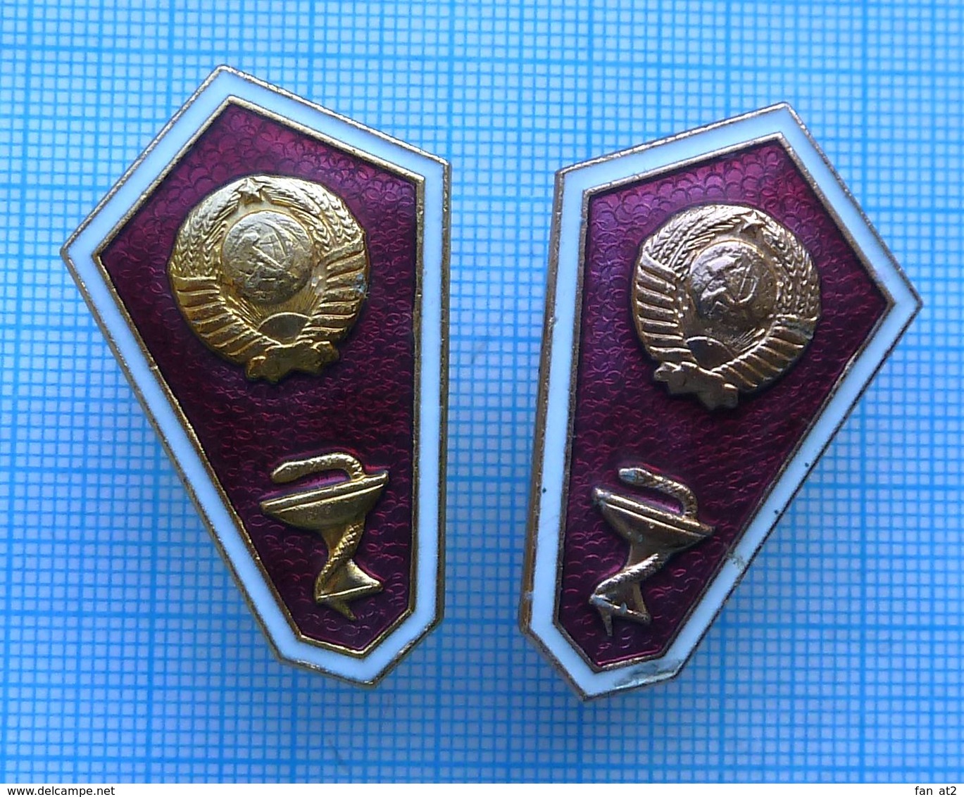 USSR / Badges / Soviet Union. The Medicine. Medical School . Graduate. - Medical