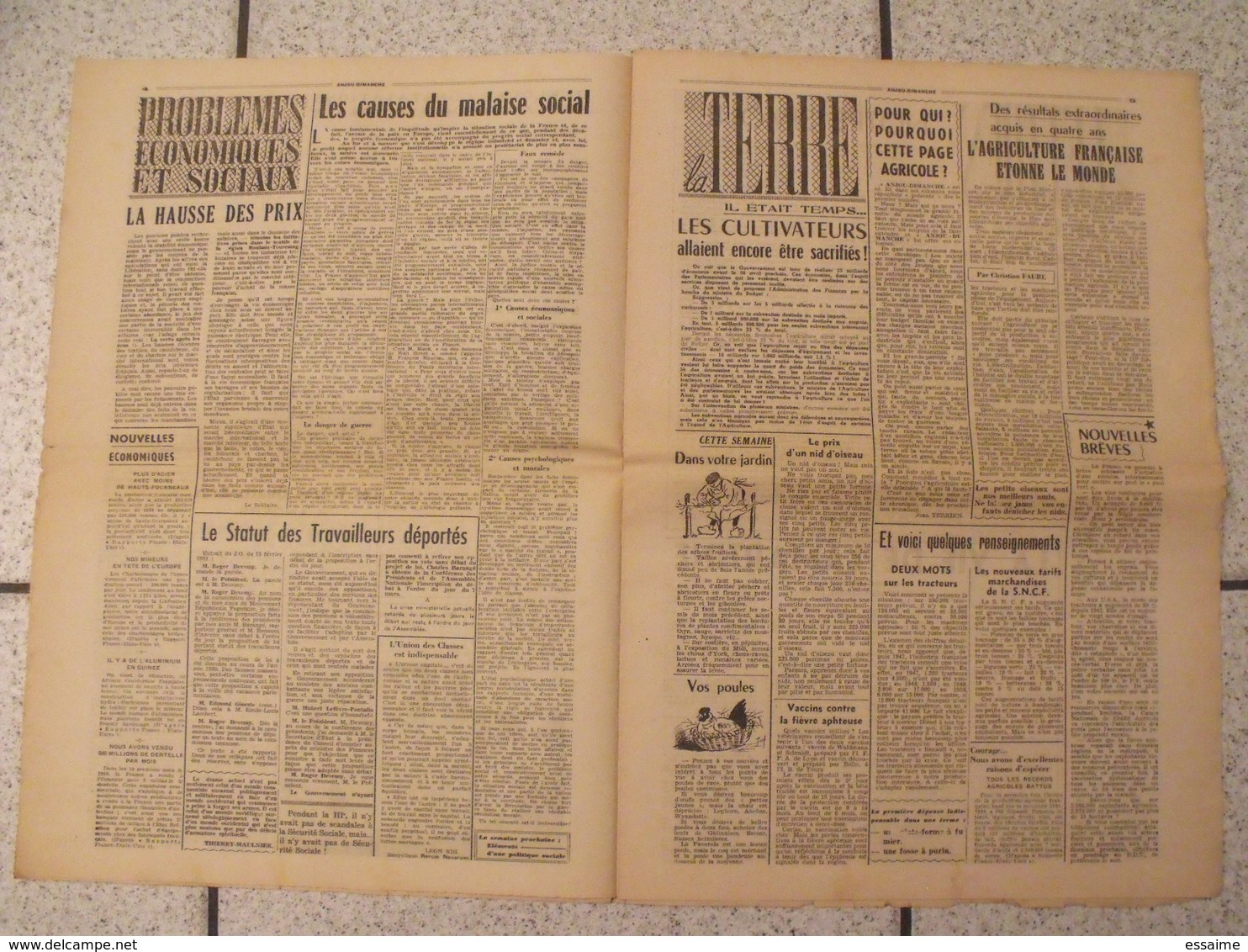 16 Revues Anjou-Dimanche De 1951. 1ère Année, N° 1 à 16 (collection Complète ?). Angers. Très Rare Hebdo Local. Barangé - Pays De Loire