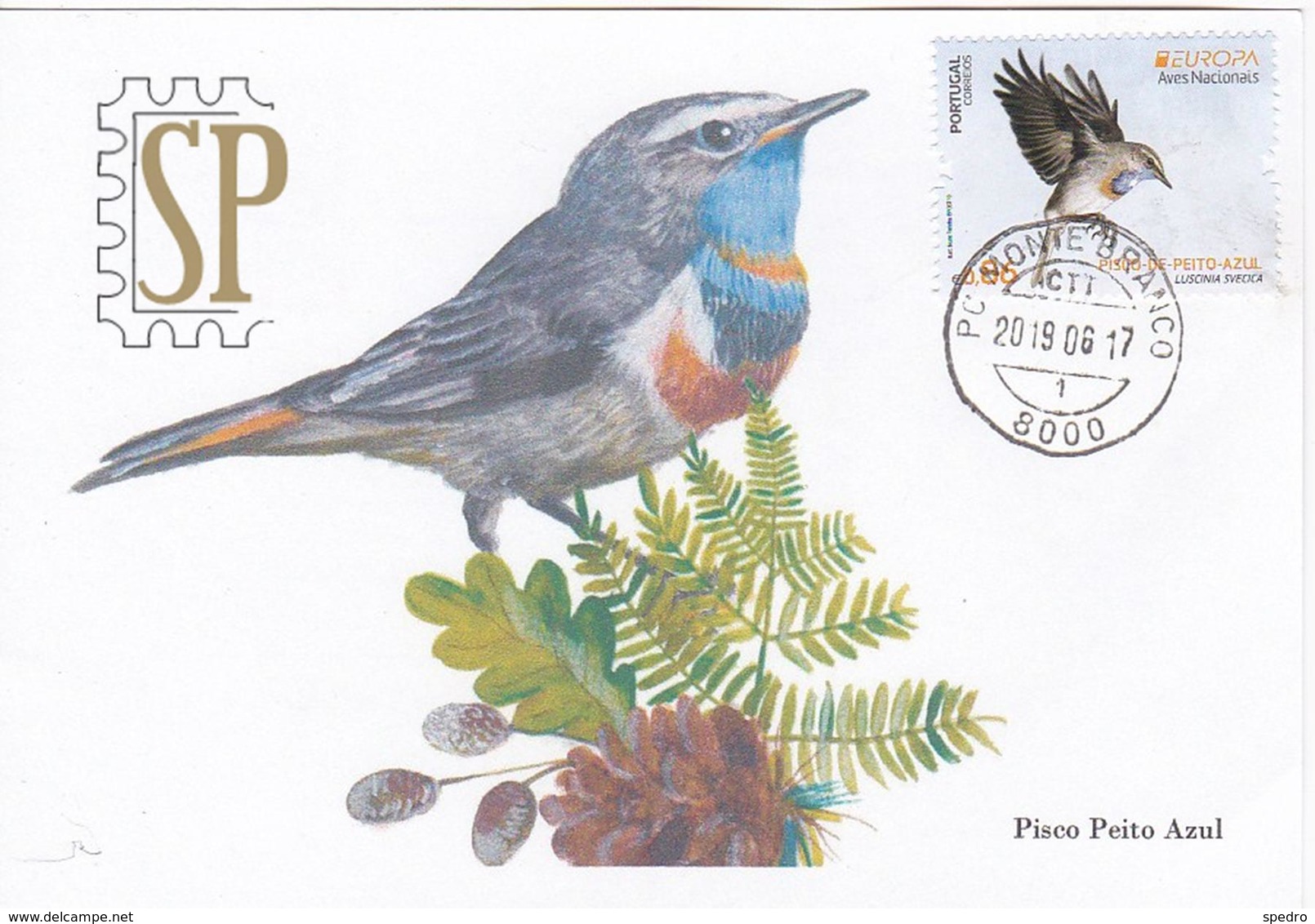 Portugal 2019 EUROPA 2019 CEPT Postal Maximo Pisco Peito Azul Algarve Maximum Maxicard Fauna Luscinia Svecica Ave Bird - Other & Unclassified