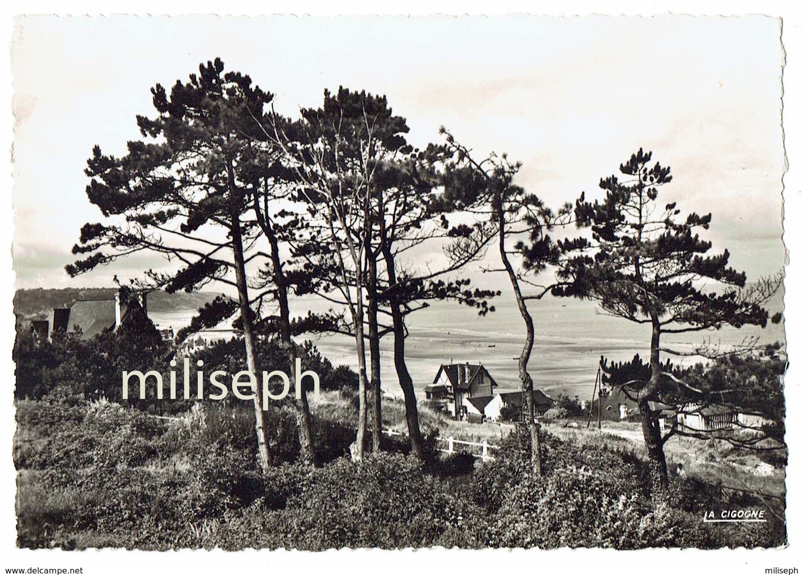 BLONVILLE-sur-MER - Aperçu De La Plage - Editeur: La Cigogne Rouen  (4521) - Sonstige & Ohne Zuordnung