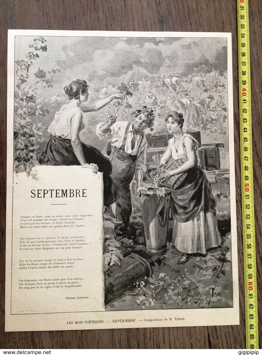 ENV 1900 MOIS POETIQUES SEPTEMBRE COMPOSITION TOFANI STEPHEN LIEGEARD - Collections