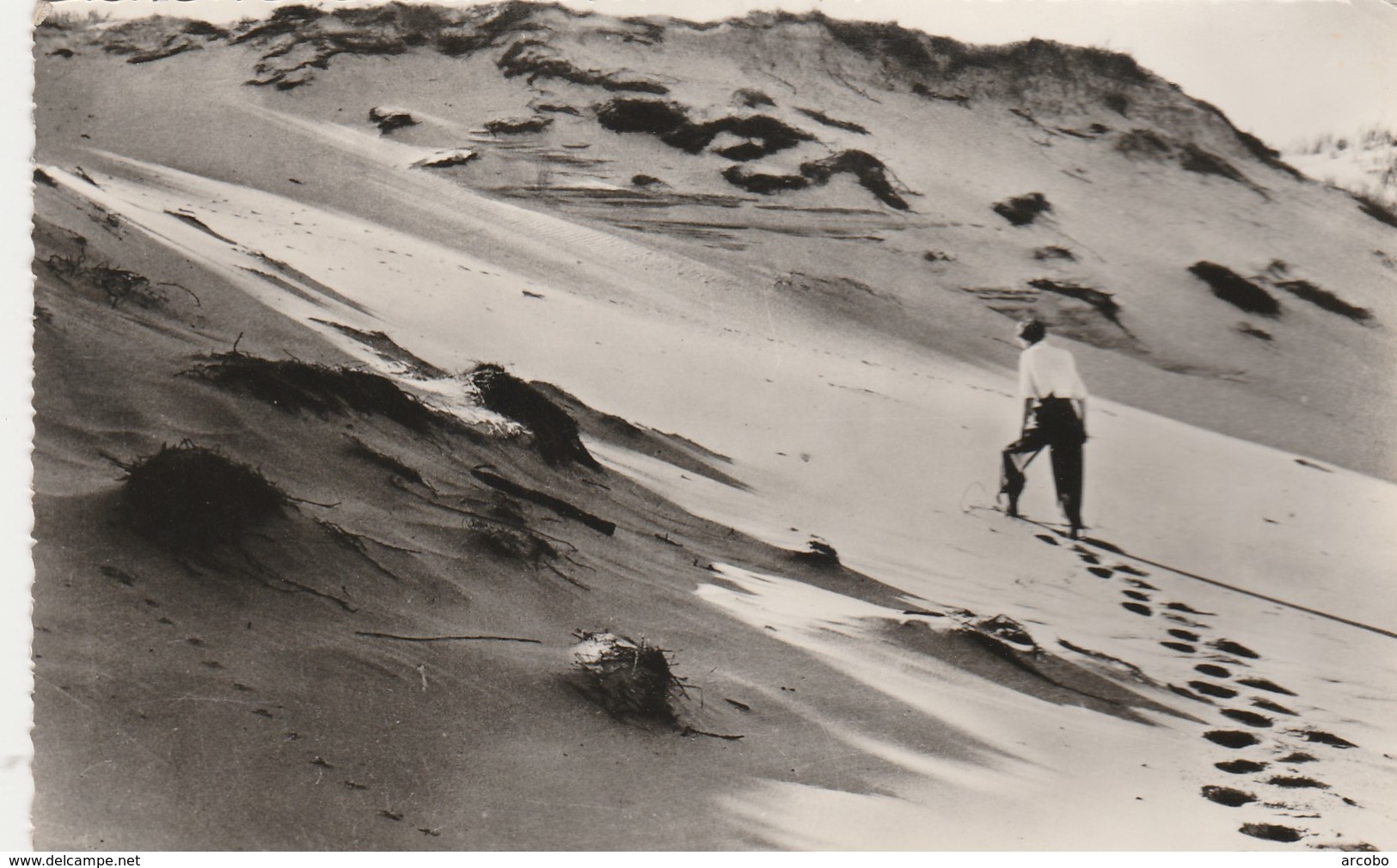 DE Duinen-Les Dunes - Blankenberge