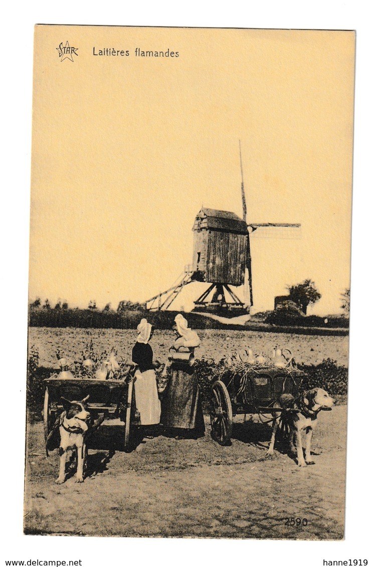 Windmolen Moulin Mill Laitiéres Flamandes Hondenkar Attelage De Chien Dog Cart - Hunde