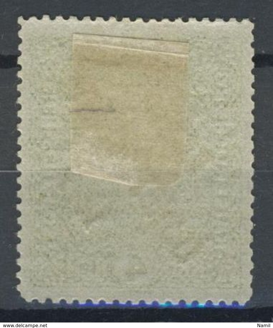 * Tchécoslovaquie 1919 Mi 57 (Yv 60), (MH) Charniere - Unused Stamps