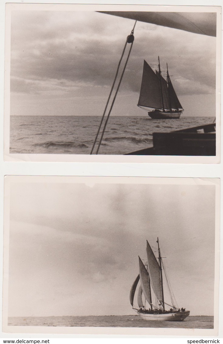 50PLC -trois Photos Photo Voilier Sans Indication T-lot Le Coz - Bateaux