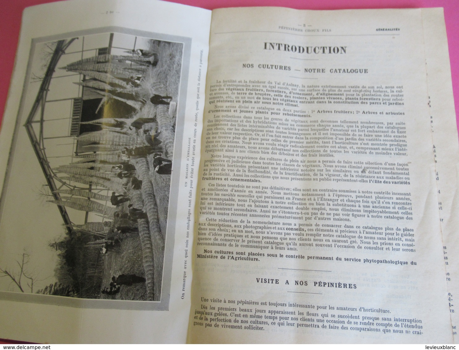 Catalogue Général Des Pépiniéres Du Val D'AULNAY / CROUX Fils / CHATENAY MALABRY/Seine /Oberthur/ 1937-38    LIV161 - Jardinería