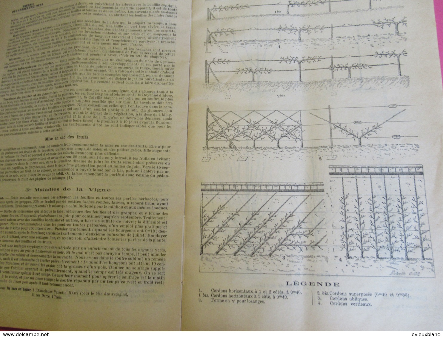 Catalogue Général des Pépiniéres du Val d'AULNAY / CROUX Fils / CHATENAY MALABRY/Seine /Oberthur/ 1937-38    LIV161