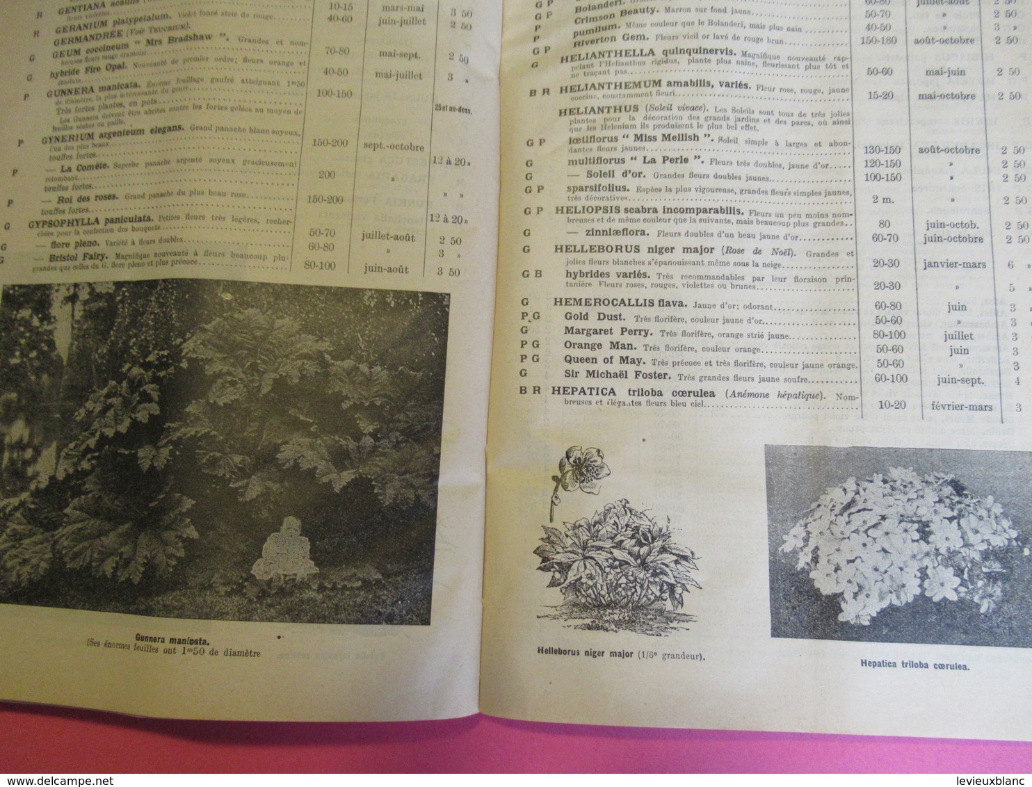 Catalogue Général des Pépiniéres du Val d'AULNAY / CROUX Fils / CHATENAY MALABRY/Seine /Oberthur/ 1937-38    LIV161