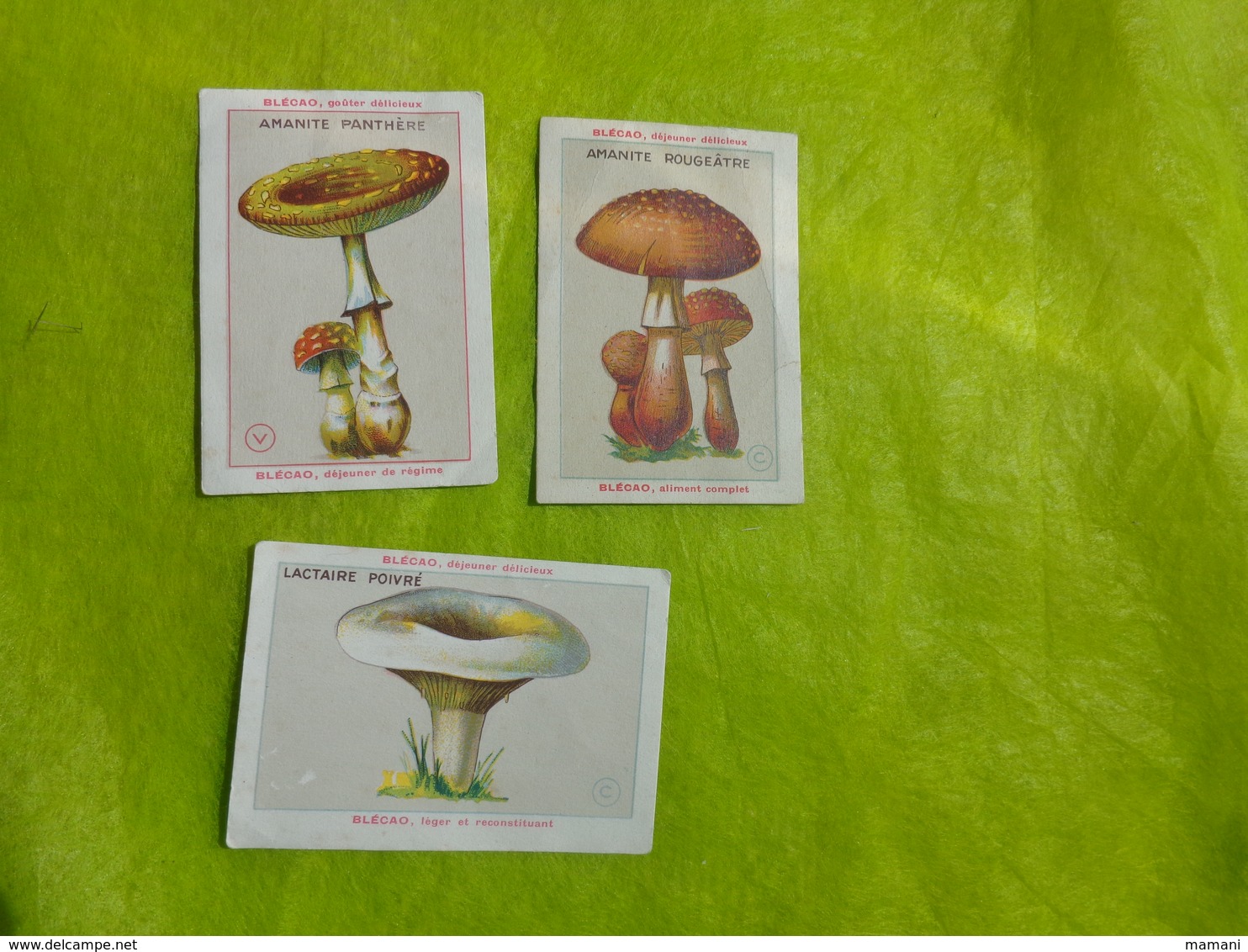 Lot De 3 Images Blecao -champignons-lactaire Poivre-amanite Panthere-amanite Rougeatre - Publicités