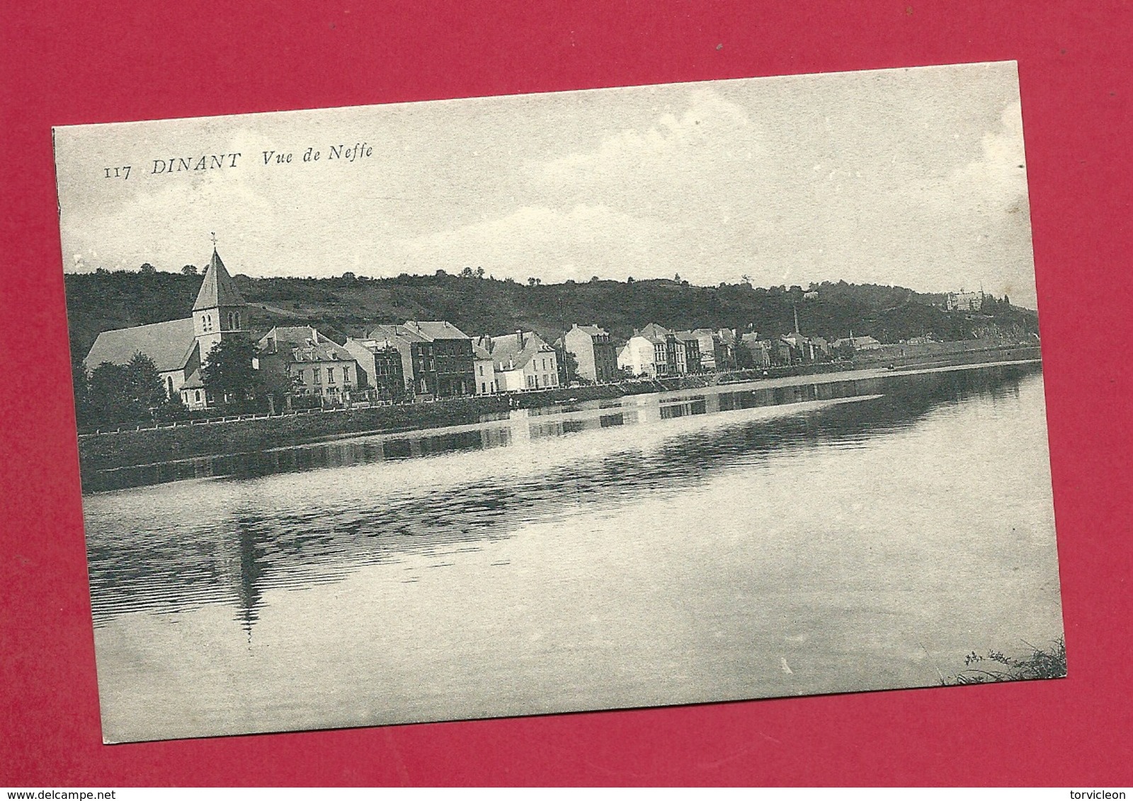 C.P. Dinant = Vue  De  NEFFE - Dinant