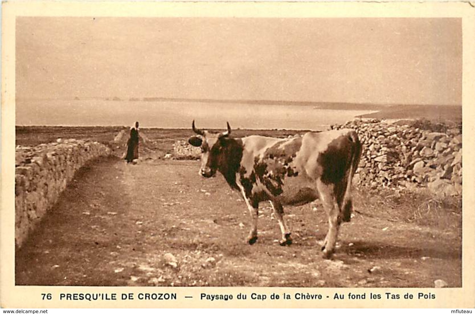 29* CROZON Cap De La Chevre         MA90,0792 - Crozon