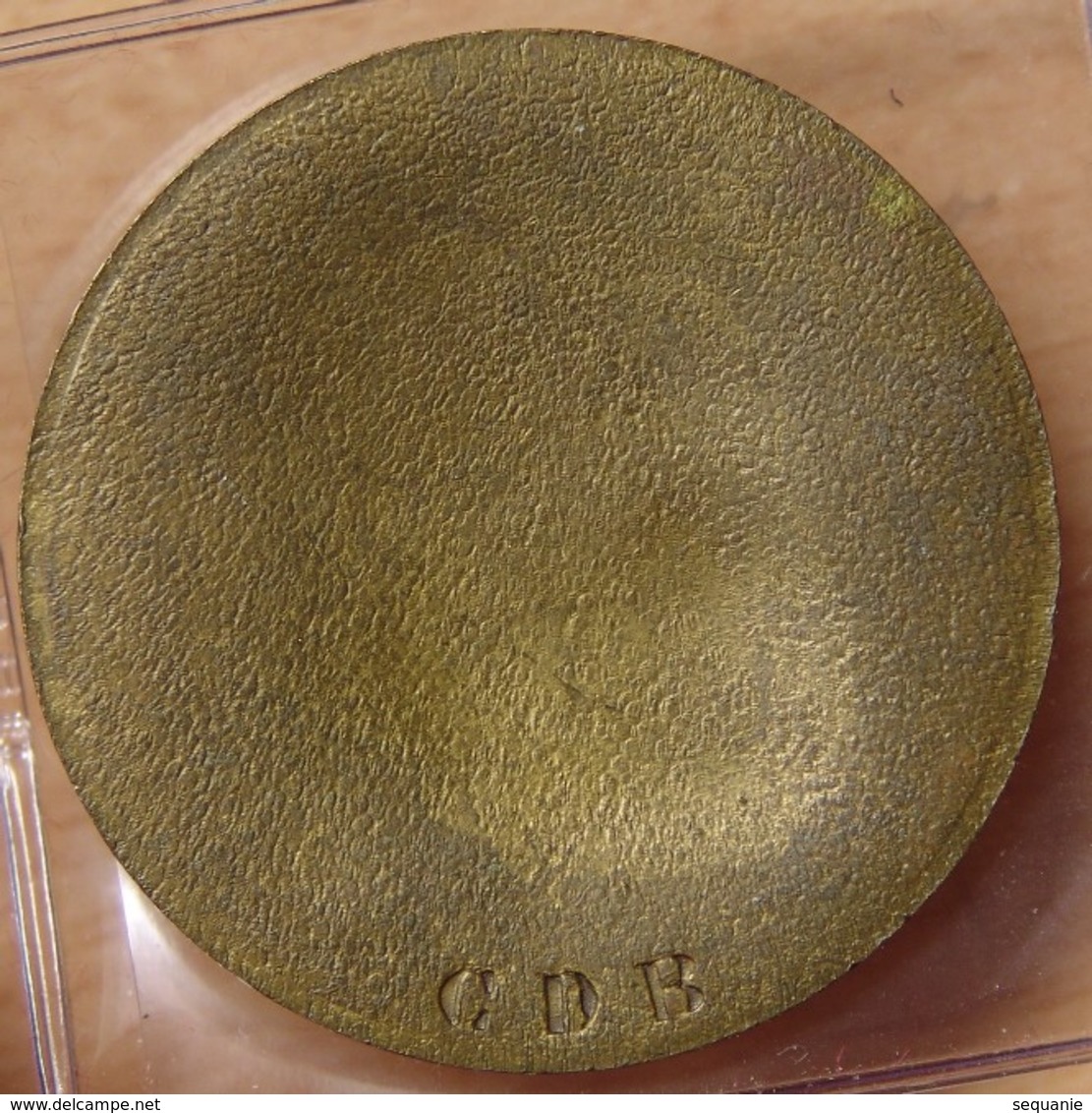 Médaille Uniface De Victor Hugo En Bronze - Professionnels / De Société