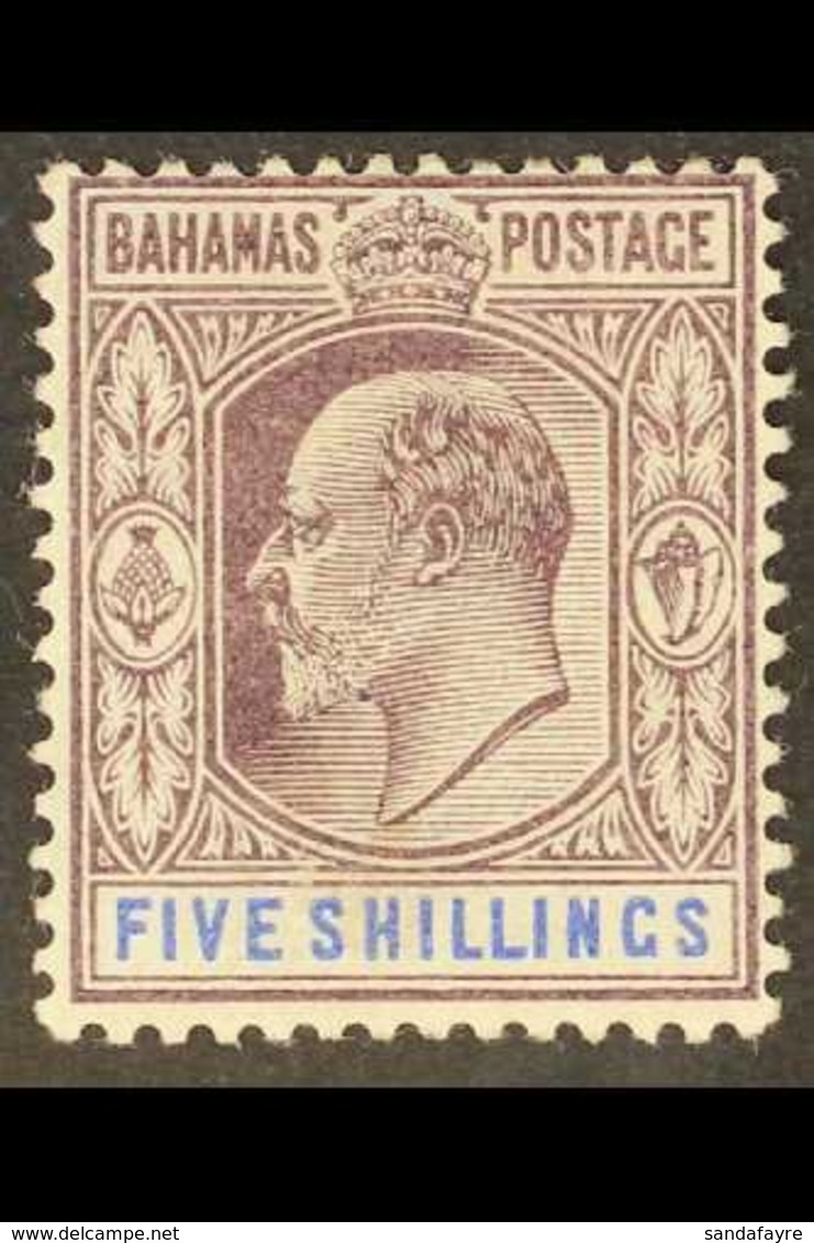 1902  KEVII 5s Dull Purple & Blue, SG 69, Very Fine Mint For More Images, Please Visit Http://www.sandafayre.com/itemdet - Autres & Non Classés