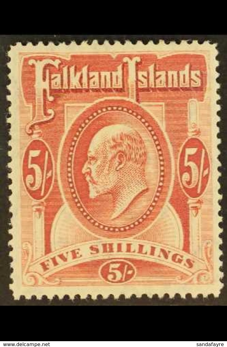 1904  5s Red, Ed VII, SG 50, Very Fine Mint. For More Images, Please Visit Http://www.sandafayre.com/itemdetails.aspx?s= - Falkland Islands