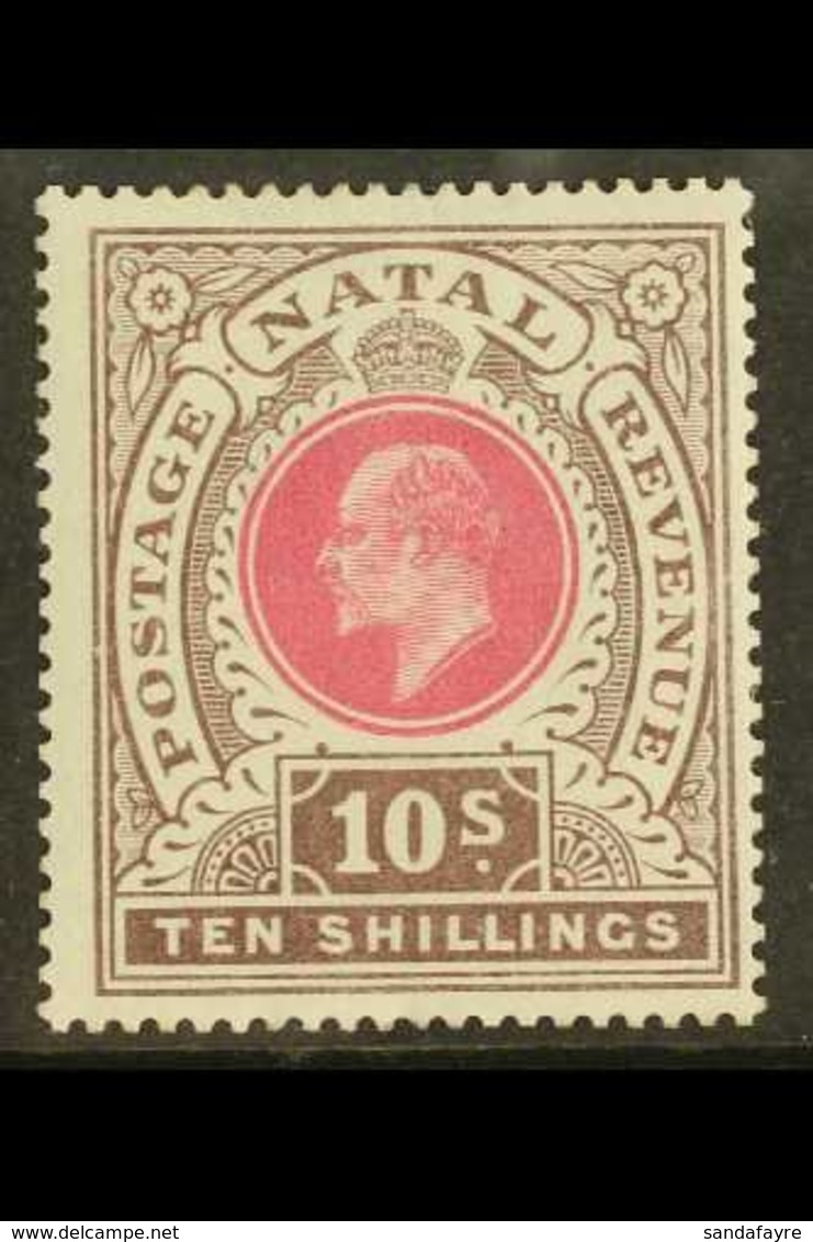 NATAL  1902 10s Deep Rose And Chocolate, SG 141, Very Fine Mint. For More Images, Please Visit Http://www.sandafayre.com - Unclassified