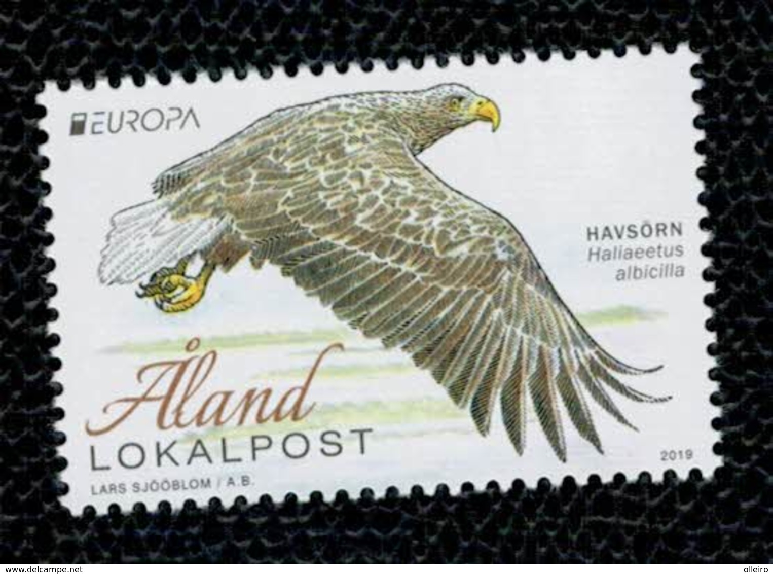 Aland 2019 Europa -National Birds (White -Tailed Eagle) 1v Complete Set  ** MNH - Aland