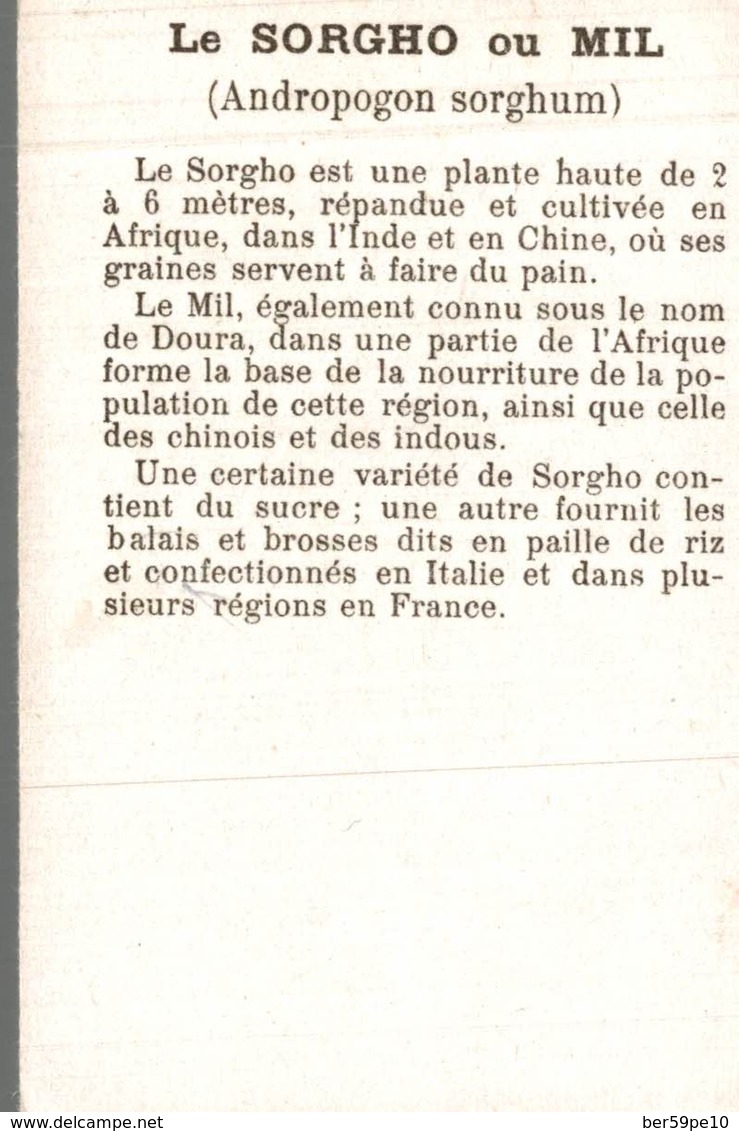 CHROMO  DANS LES GRANDES CULTURES  LE SORGHO  BATTAGE ET MOUTURE DU SORGHO  AFRIQUE FRANCAISE OCCIDENTALE - Autres & Non Classés