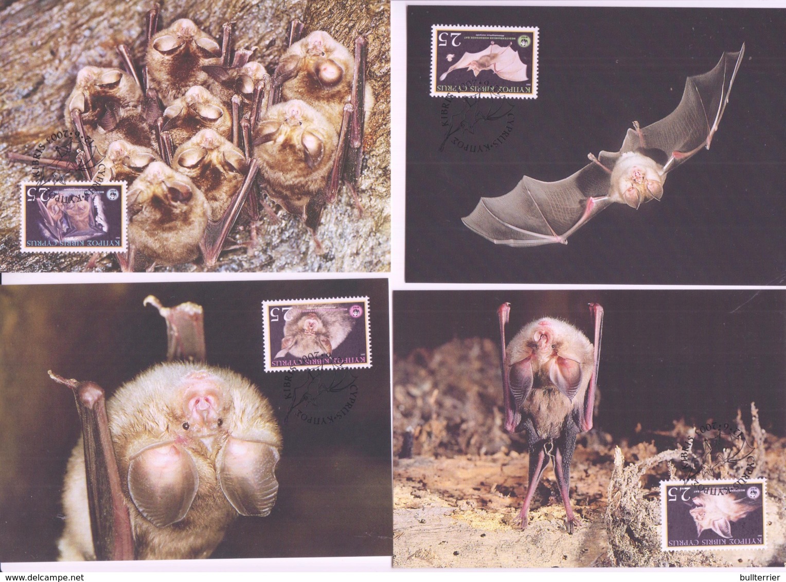 WWF - CYRPUS - 2003 - WWF - BATS SET OF 4  MAXI CARDS, - Maximum Cards