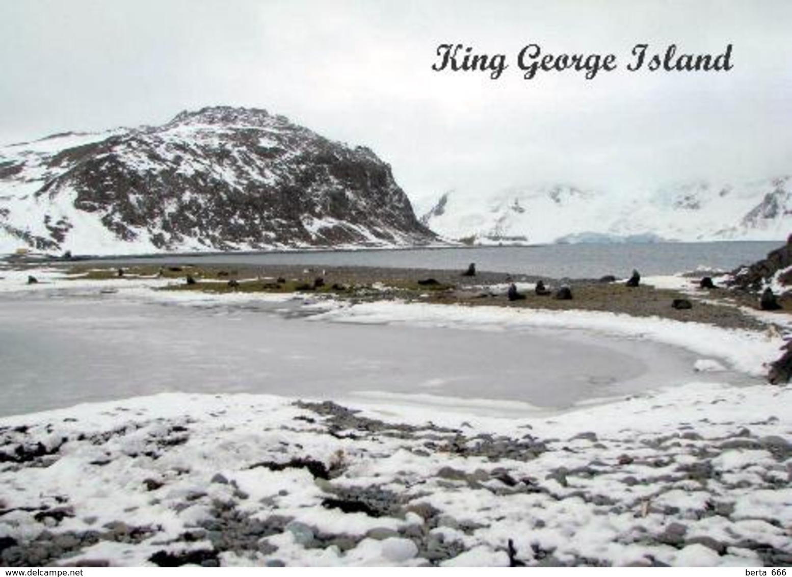 Antarctica King George Island New Postcard Antarktis AK - Sonstige & Ohne Zuordnung