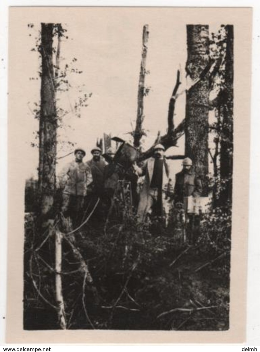 Photo Originale Militaria WWI Bois Près Avocourt - Guerre, Militaire