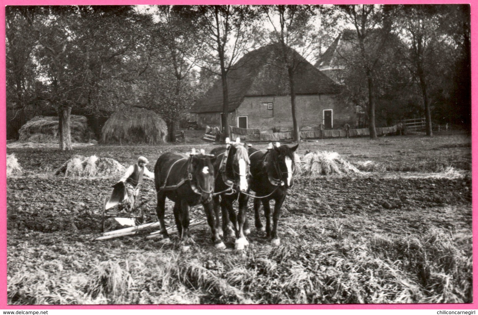 Zo Was Dordrecht - Hofstede Zuidhoven A.d. Oudedijk Omstreeks 1935 - Outil Agricole Herse Tiré Par Les Chevaux - Dordrecht