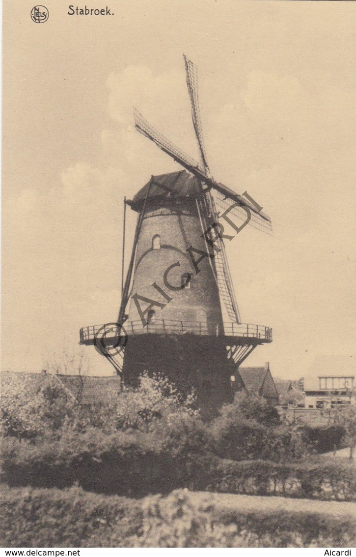 Postkaart/Carte Postale STABROEK Molen  (C407) - Stabroek