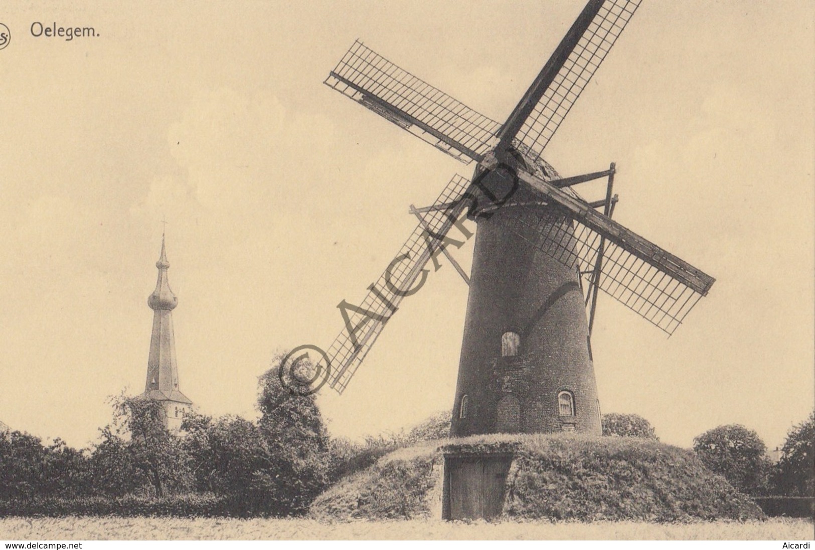 Postkaart/Carte Postale OELEGEM Molen  (C403) - Ranst