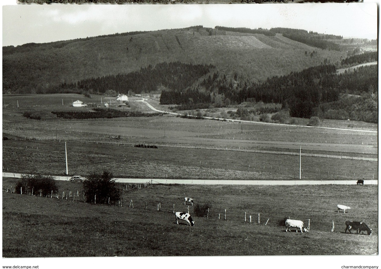 Dochamps - Les Vals - Le Campement Scout - Circulée - Edit. Maison Spoiden - 2 Scans - Manhay