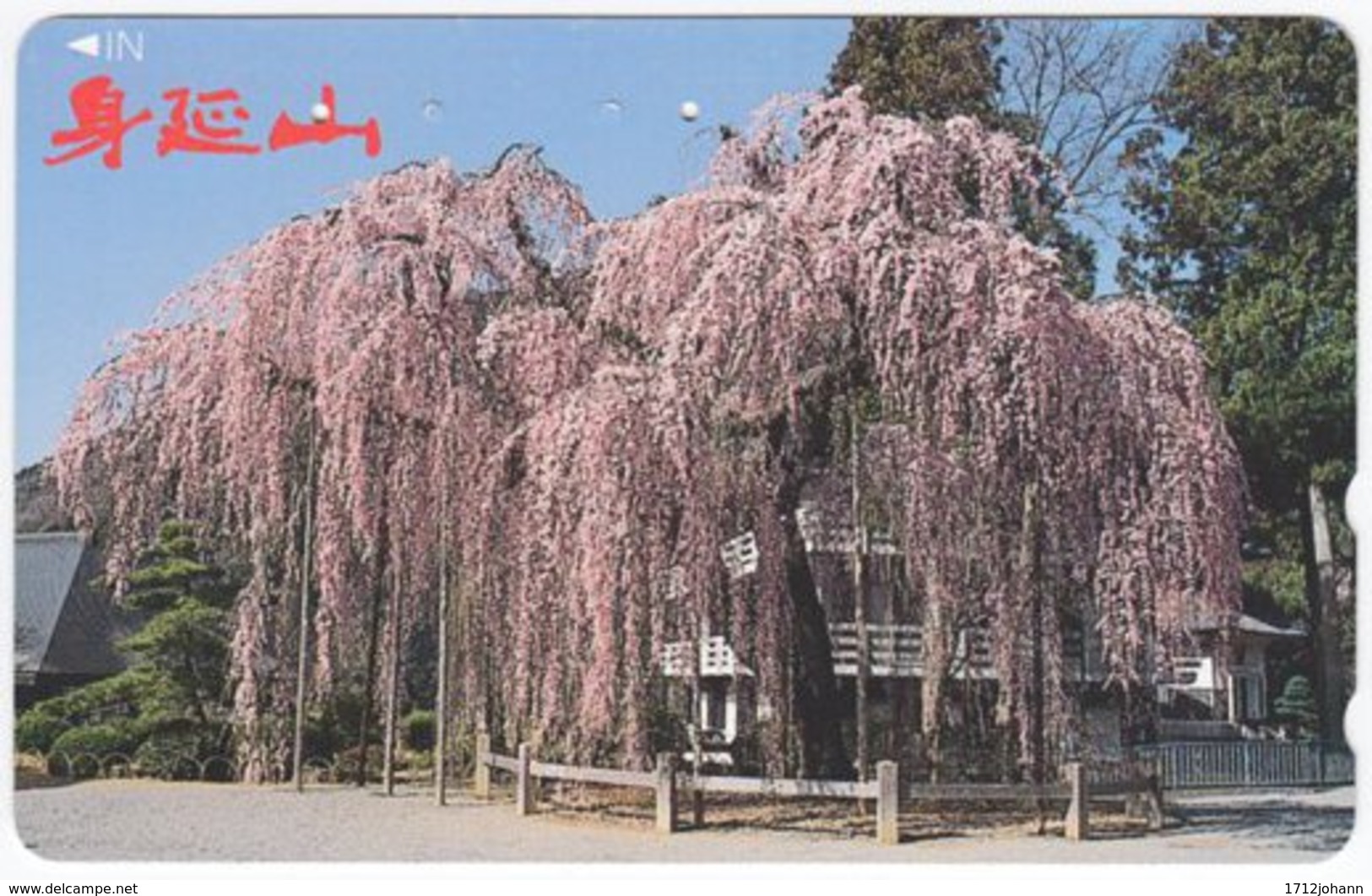 JAPAN K-004 Magnetic NTT [110-016] - Plant, Tree - Used - Japan