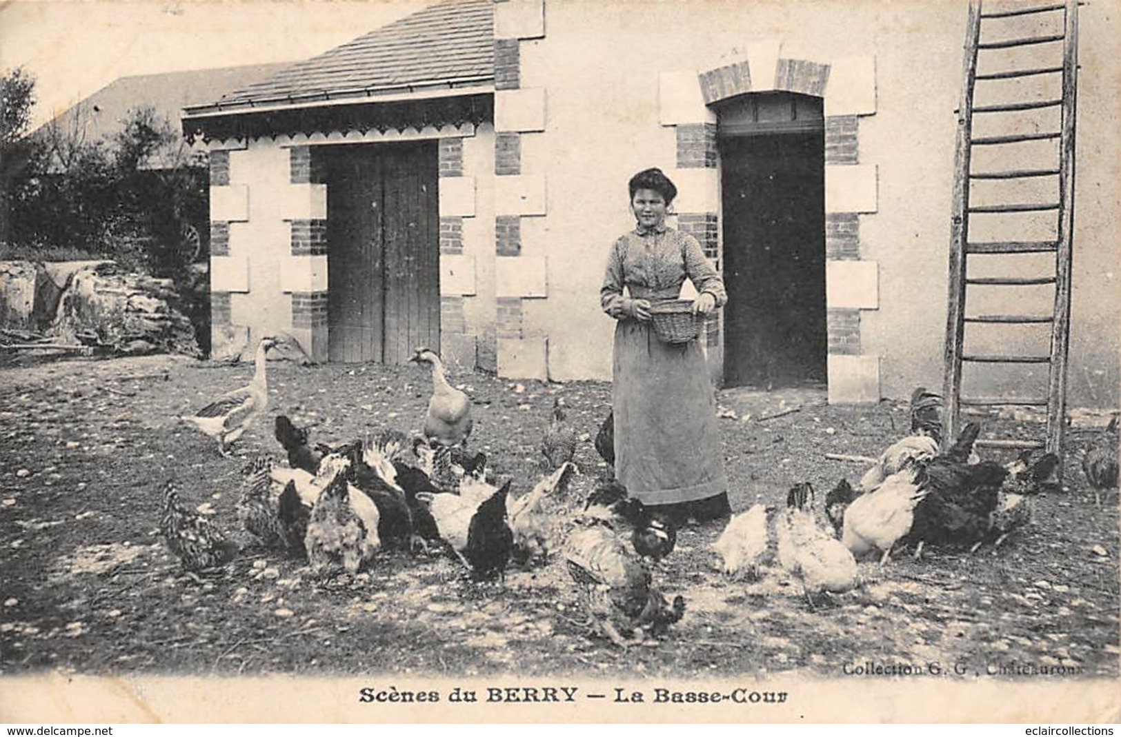 Berry Scène Ou Types Ou Au Pays    36        La Basse Cour      (Molle Voir Scan) - Sonstige & Ohne Zuordnung