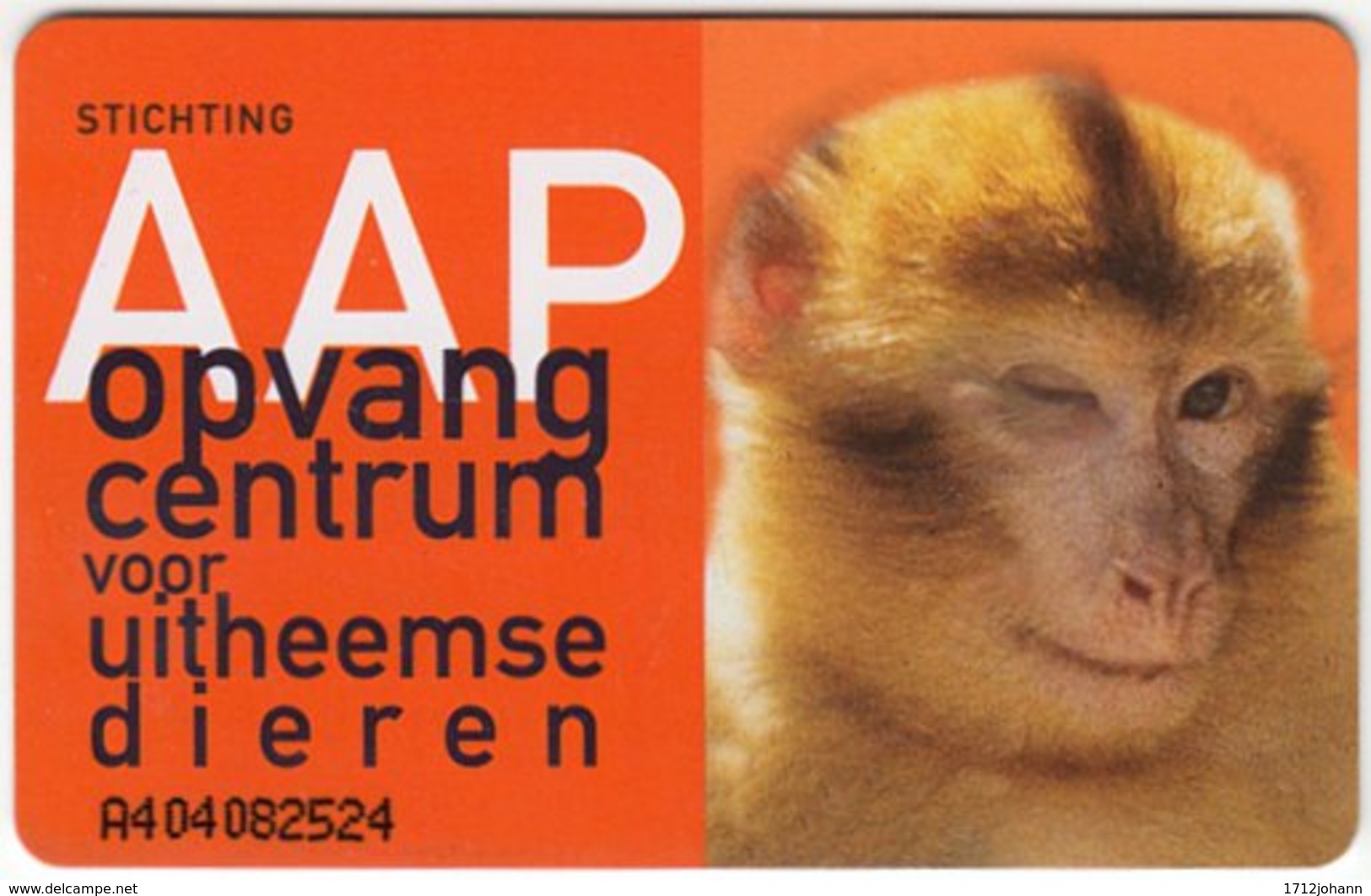 NETHERLANDS B-222 Chip Telecom - Animal, Monkey - Used - Publiques