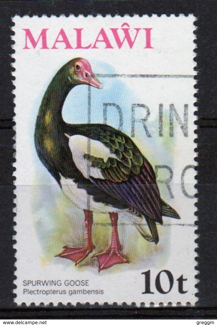 Malawi 1975 Single 10t Stamp From The 2nd Series Bird Definitive Set. - Malawi (1964-...)