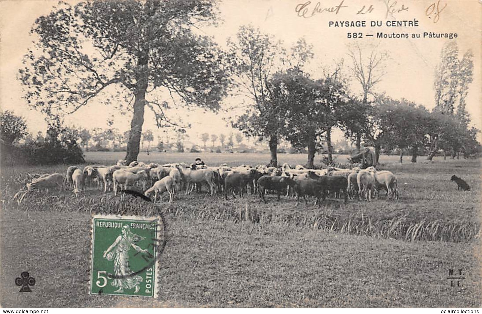 Berry Scène Ou Types Ou Au Pays    36     Moutons Au Pâturage    (voir Scan) - Sonstige & Ohne Zuordnung