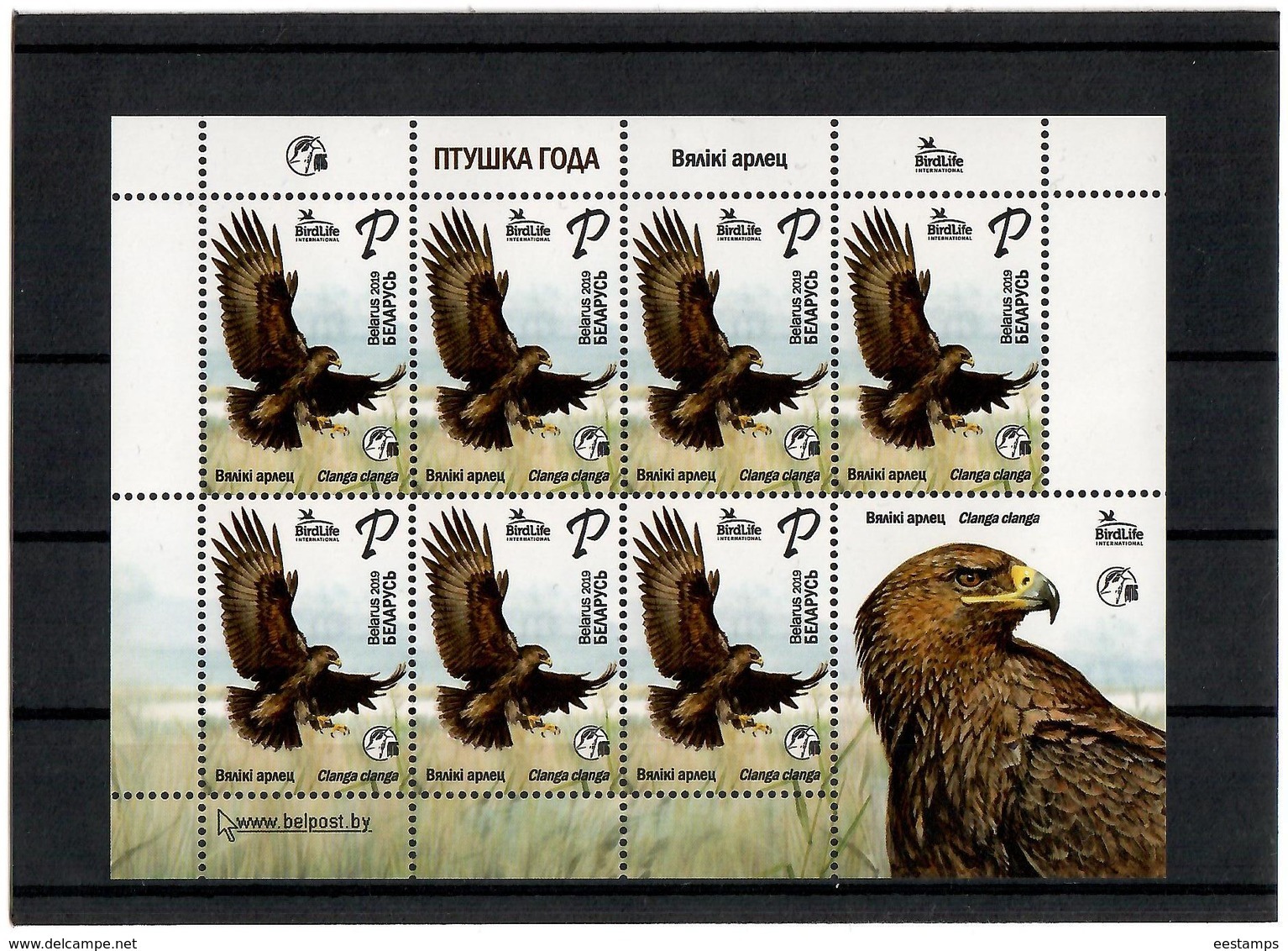 Belarus .2019 Fauna. Bird Of The Year. Greater Spotted Eagle. M/S Of 7 + Label - Belarus