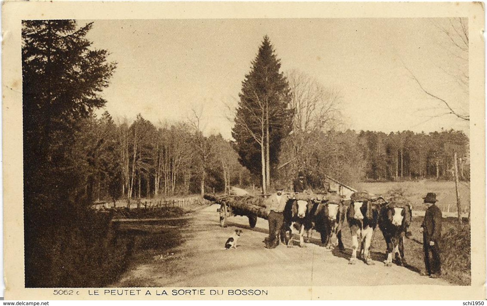 ~  JP  ~  88  ~  LE PEUTET  A  LA  SORTIE    DU   BOSSON   ~ - Remiremont