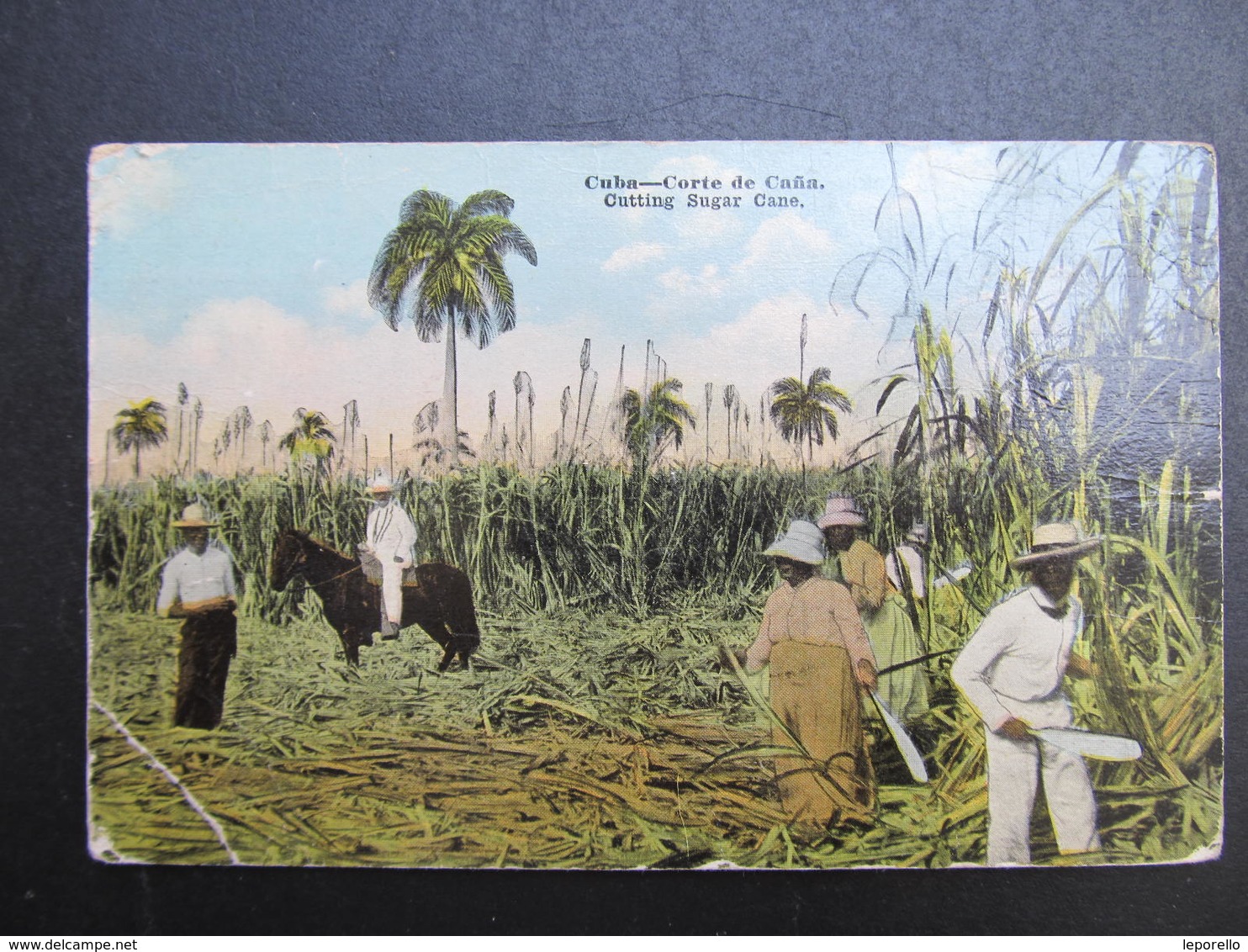 AK CUBA Sugar Cane Ca.1910  // D*39074 - Cuba