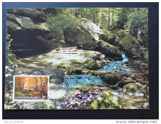 Carte Maximum Card Petite Suisse Foret Forest  Luxembourg Ref 70495 - Maximumkarten