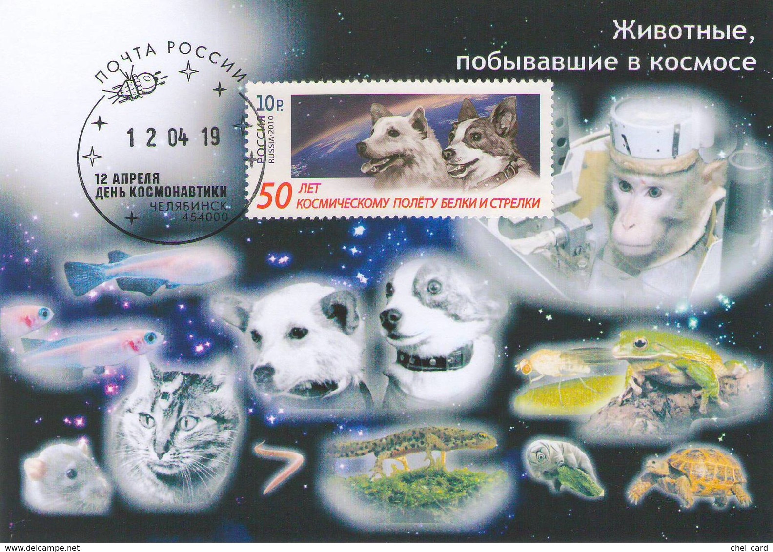 [2019, Space, Dogs, Animals] Maximum Card. Postcard "Animals That Have Been In Space" - Russie